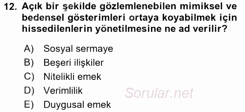 Yeni Teknolojiler ve Çalışma Hayatı 2015 - 2016 Tek Ders Sınavı 12.Soru