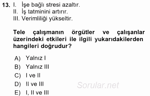 Yeni Teknolojiler ve Çalışma Hayatı 2015 - 2016 Tek Ders Sınavı 13.Soru