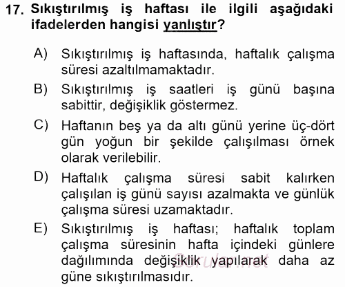 Yeni Teknolojiler ve Çalışma Hayatı 2015 - 2016 Tek Ders Sınavı 17.Soru