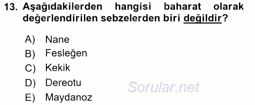 Gıda Coğrafyası 2016 - 2017 Dönem Sonu Sınavı 13.Soru