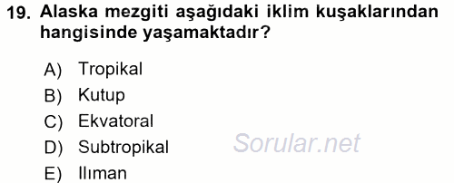 Gıda Coğrafyası 2016 - 2017 Dönem Sonu Sınavı 19.Soru