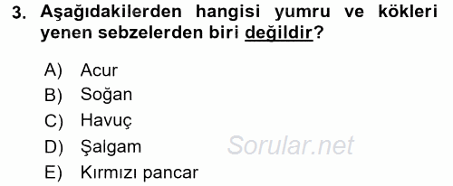 Gıda Coğrafyası 2016 - 2017 Dönem Sonu Sınavı 3.Soru