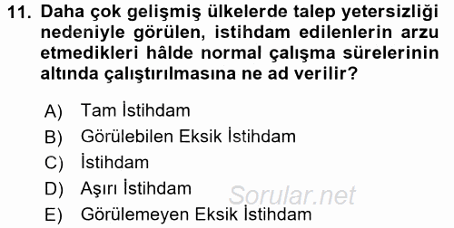 Sosyal Politika 2017 - 2018 Ara Sınavı 11.Soru