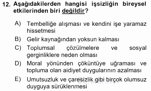 Sosyal Politika 2017 - 2018 Ara Sınavı 12.Soru