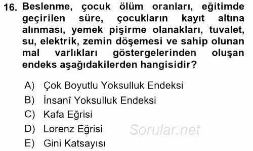 Sosyal Politika 2017 - 2018 Ara Sınavı 16.Soru