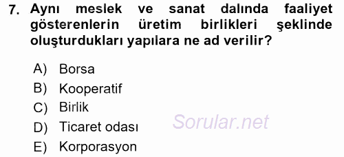 Sosyal Politika 2017 - 2018 Ara Sınavı 7.Soru