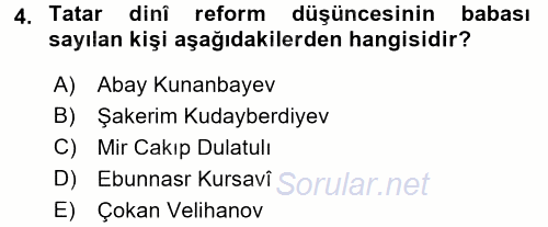 XIX. Yüzyıl Türk Dünyası 2016 - 2017 Ara Sınavı 4.Soru