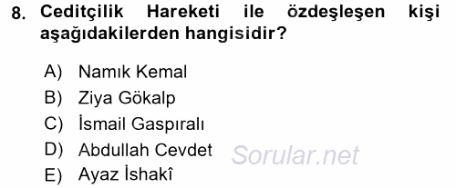 XIX. Yüzyıl Türk Dünyası 2016 - 2017 Ara Sınavı 8.Soru