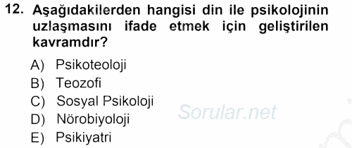 Din Psikolojisi 2012 - 2013 Ara Sınavı 12.Soru