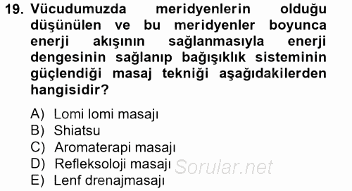 Termal ve Spa Hizmetleri 2013 - 2014 Tek Ders Sınavı 19.Soru