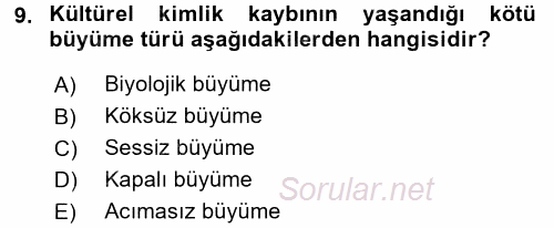 İktisadi Büyüme 2016 - 2017 Ara Sınavı 9.Soru