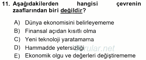 Ekonominin Güncel Sorunları 2017 - 2018 Ara Sınavı 11.Soru