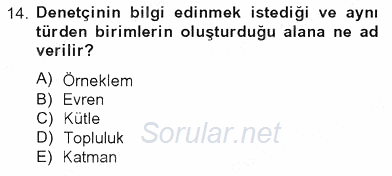 Denetim 2012 - 2013 Tek Ders Sınavı 14.Soru