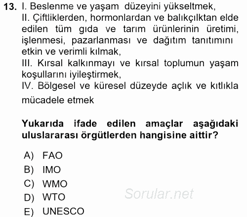 Uluslararası Ekonomik Kuruluşlar 2017 - 2018 Ara Sınavı 13.Soru