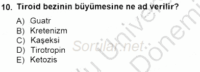 İnsan Anatomisi Ve Fizyolojisi 2012 - 2013 Dönem Sonu Sınavı 10.Soru