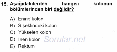 İnsan Anatomisi Ve Fizyolojisi 2012 - 2013 Dönem Sonu Sınavı 15.Soru