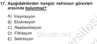 İnsan Anatomisi Ve Fizyolojisi 2012 - 2013 Dönem Sonu Sınavı 17.Soru