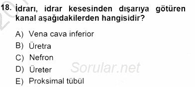 İnsan Anatomisi Ve Fizyolojisi 2012 - 2013 Dönem Sonu Sınavı 18.Soru