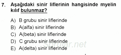 İnsan Anatomisi Ve Fizyolojisi 2012 - 2013 Dönem Sonu Sınavı 7.Soru