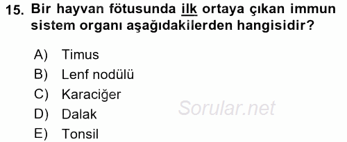 Temel Veteriner Mikrobiyoloji ve İmmünoloji 2016 - 2017 Dönem Sonu Sınavı 15.Soru