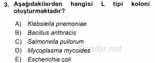 Temel Veteriner Mikrobiyoloji ve İmmünoloji 2016 - 2017 Dönem Sonu Sınavı 3.Soru