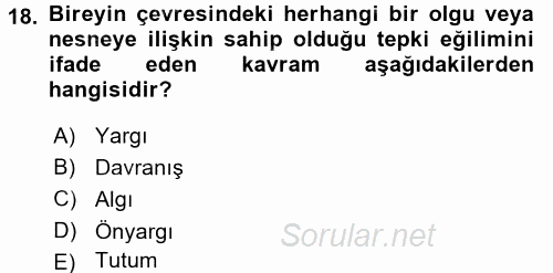 Uluslararası İşletmecilik 2017 - 2018 Dönem Sonu Sınavı 18.Soru