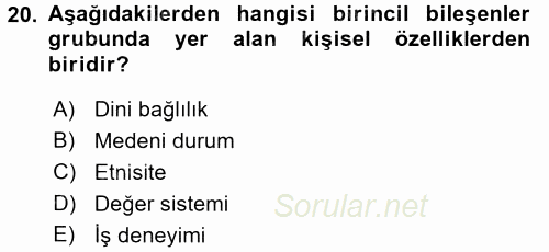 Uluslararası İşletmecilik 2017 - 2018 Dönem Sonu Sınavı 20.Soru