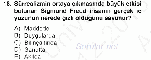 Batı Edebiyatında Akımlar 2 2012 - 2013 Ara Sınavı 18.Soru