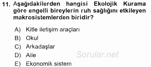 Engellilerde Ruh Sağlığı 2017 - 2018 Dönem Sonu Sınavı 11.Soru