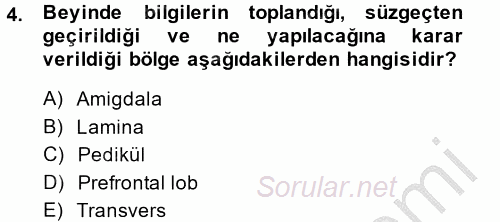 Etkili İletişim Teknikleri 2013 - 2014 Dönem Sonu Sınavı 4.Soru