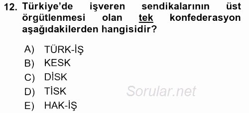 Endüstri Sosyolojisi 2015 - 2016 Ara Sınavı 12.Soru