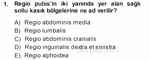 Temel Veteriner Anatomi 2014 - 2015 Dönem Sonu Sınavı 1.Soru