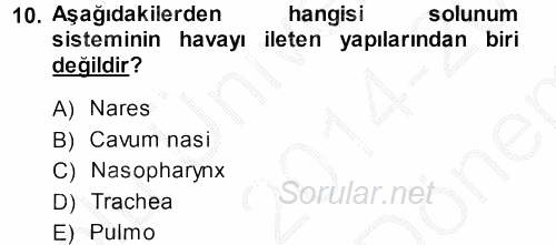 Temel Veteriner Anatomi 2014 - 2015 Dönem Sonu Sınavı 10.Soru