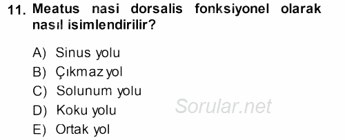 Temel Veteriner Anatomi 2014 - 2015 Dönem Sonu Sınavı 11.Soru