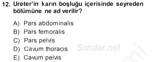 Temel Veteriner Anatomi 2014 - 2015 Dönem Sonu Sınavı 12.Soru