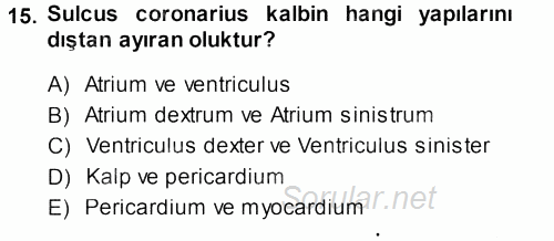 Temel Veteriner Anatomi 2014 - 2015 Dönem Sonu Sınavı 15.Soru
