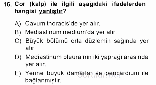 Temel Veteriner Anatomi 2014 - 2015 Dönem Sonu Sınavı 16.Soru