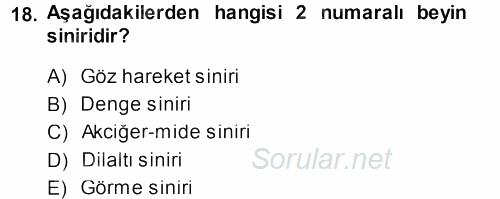 Temel Veteriner Anatomi 2014 - 2015 Dönem Sonu Sınavı 18.Soru