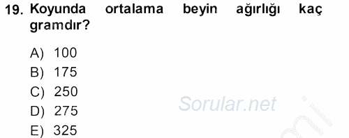 Temel Veteriner Anatomi 2014 - 2015 Dönem Sonu Sınavı 19.Soru