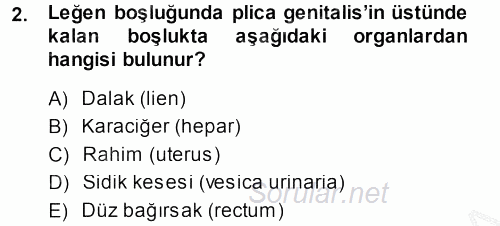 Temel Veteriner Anatomi 2014 - 2015 Dönem Sonu Sınavı 2.Soru