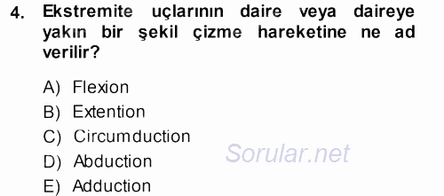 Temel Veteriner Anatomi 2014 - 2015 Dönem Sonu Sınavı 4.Soru