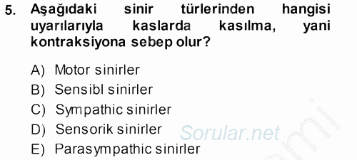 Temel Veteriner Anatomi 2014 - 2015 Dönem Sonu Sınavı 5.Soru