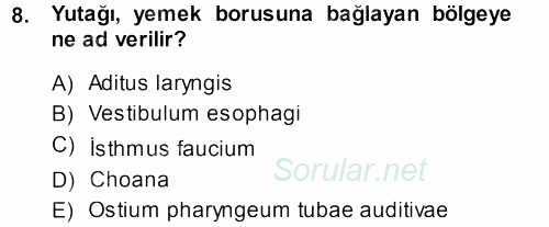 Temel Veteriner Anatomi 2014 - 2015 Dönem Sonu Sınavı 8.Soru