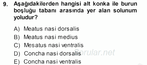 Temel Veteriner Anatomi 2014 - 2015 Dönem Sonu Sınavı 9.Soru