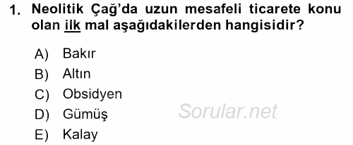 Uygarlık Tarihi 1 2016 - 2017 Dönem Sonu Sınavı 1.Soru