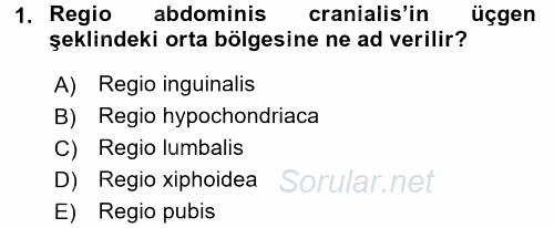 Temel Veteriner Anatomi 2016 - 2017 Ara Sınavı 1.Soru