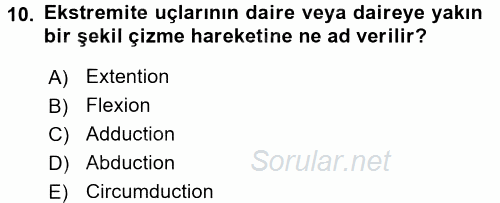 Temel Veteriner Anatomi 2016 - 2017 Ara Sınavı 10.Soru