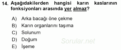 Temel Veteriner Anatomi 2016 - 2017 Ara Sınavı 14.Soru