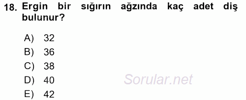 Temel Veteriner Anatomi 2016 - 2017 Ara Sınavı 18.Soru