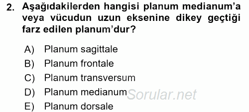 Temel Veteriner Anatomi 2016 - 2017 Ara Sınavı 2.Soru